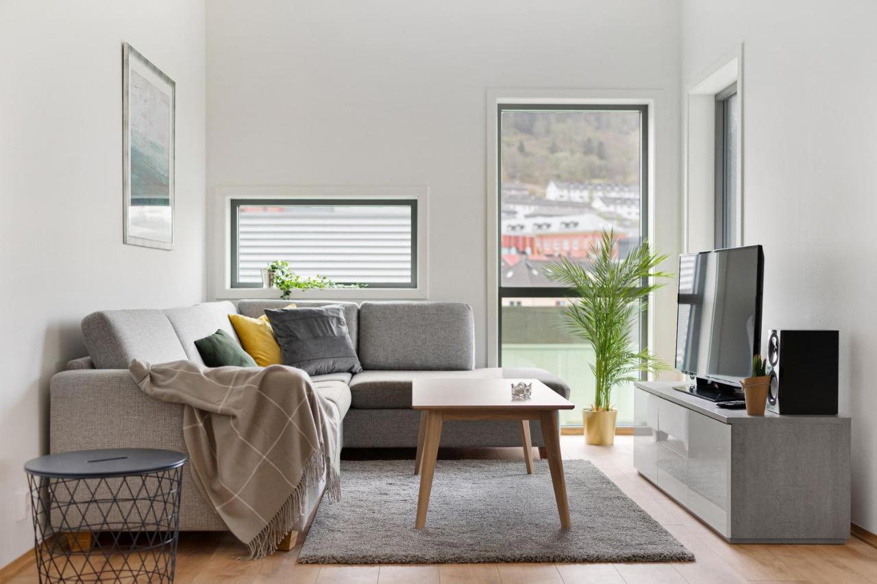 Bjorvika Apartments, Damsgard Area, Center Appartement *