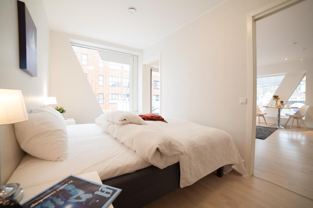 Bjorvika Apartments, Damsgard Area, Center Appartement